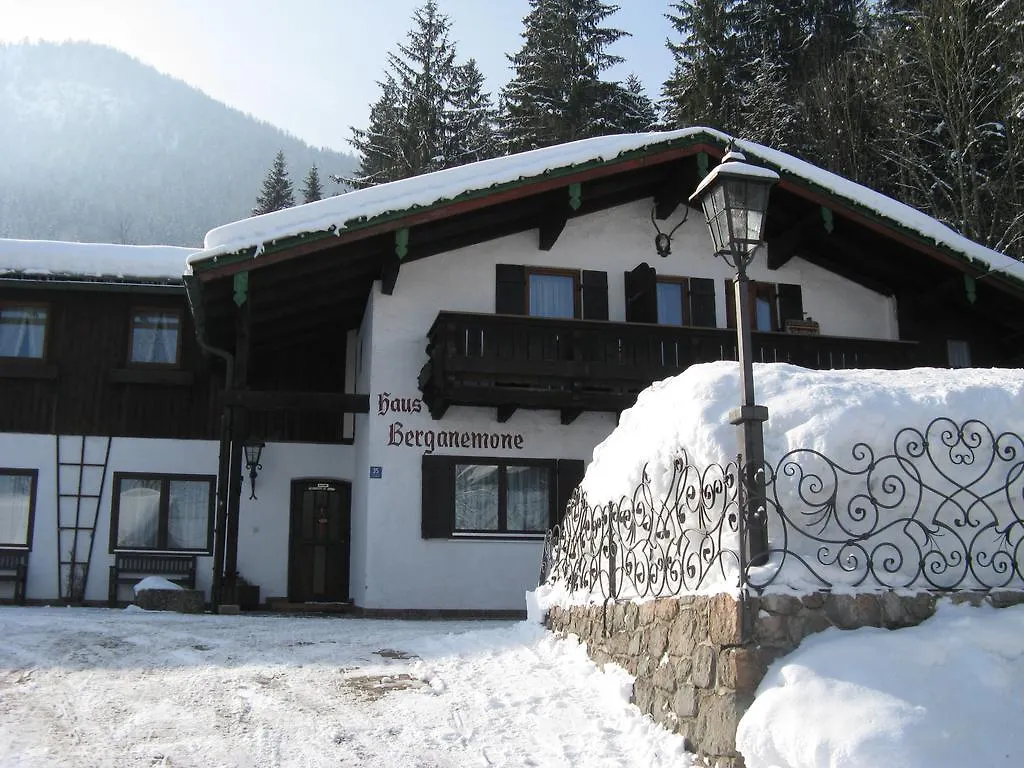 Ferienwohnungen Berganemone Schönau am Königssee 0*,